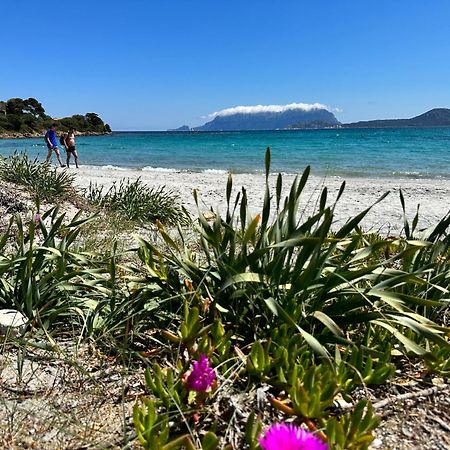 Monolocale A Due Passi Dal Mare Apartment Olbia Bagian luar foto